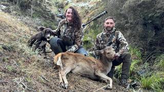 NZ meat hunt / Deer dog training