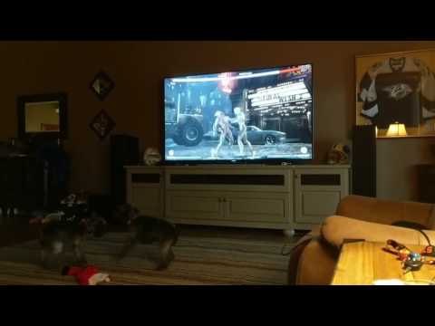 Injustice: Dogs Among Us