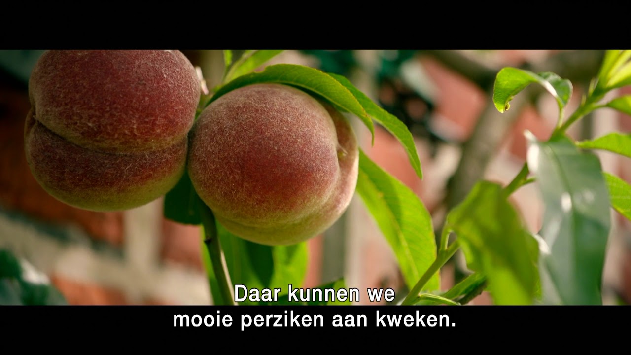 Ploegbaas Erik De Hauwere over de Museumtuin van Gaasbeek | Natuur en Bos