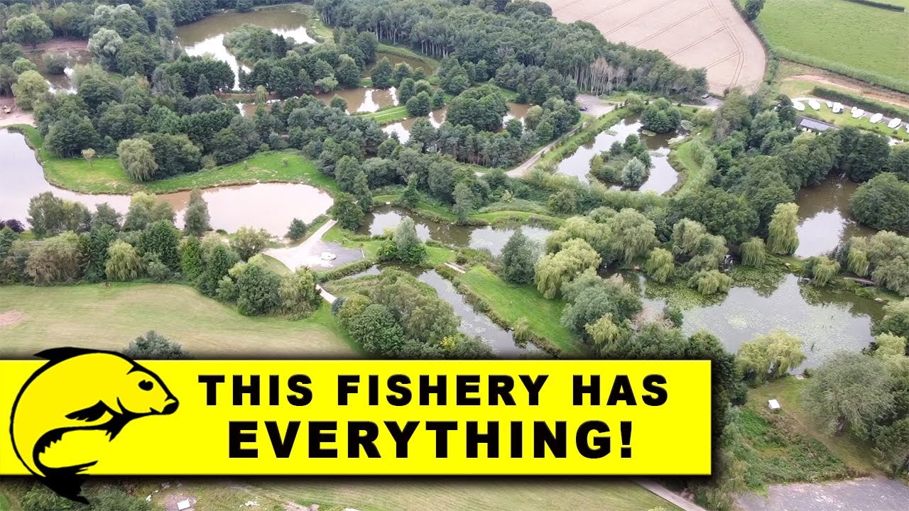 THIS FISHERY HAS EVERYTHING! Docklow Pools Fishing Sessions YouTube