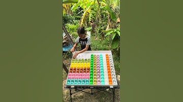 "Color Ball Sort Puzzle: Can You Solve Them All?"