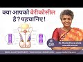 Varicocele  varicocele symptoms and treatment  male fertility tips hindi  dr chekuri suvarchala