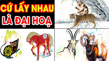 3 Con Giáp XUNG KHẮC, Kết Hôn Là Tán Gia Bại Sản Đại Hoạ Ập Tới KHỔ SỞ SUỐT ĐỜI