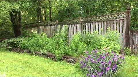 A few native plant garden design tips