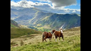 Multi Activity Event in Wales