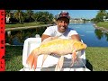 CATCHING RARE BUTTERFLY KOI FISH in LAKE!