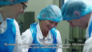 Productielocatie Vlagtwedde
