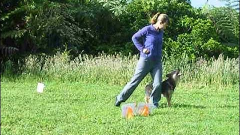 Tatiana and Sofie, World Wide Rally-Freestyle Elements Intermediate Course