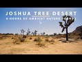 Joshua tree desert nature sounds relaxing desert sounds of jtnp 8 hours