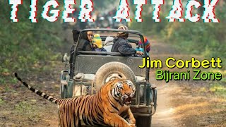 Tiger attack in jim corbett I tiger attack in forest I tiger attack on tourists I #tigerattitude