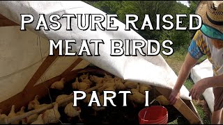Pasture raised meat birds – Part 1