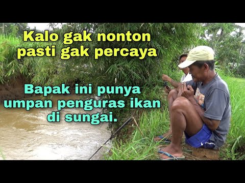 Viral.!! Mancing ikan di sungai pakai umpan sakti.