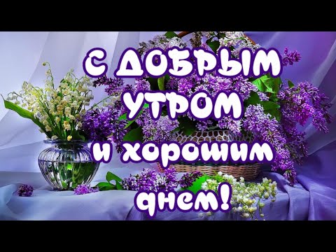 С ДОБРЫМ УТРОМ Самое красивое пожелание доброго утра и хорошего дня НОВИНКА!