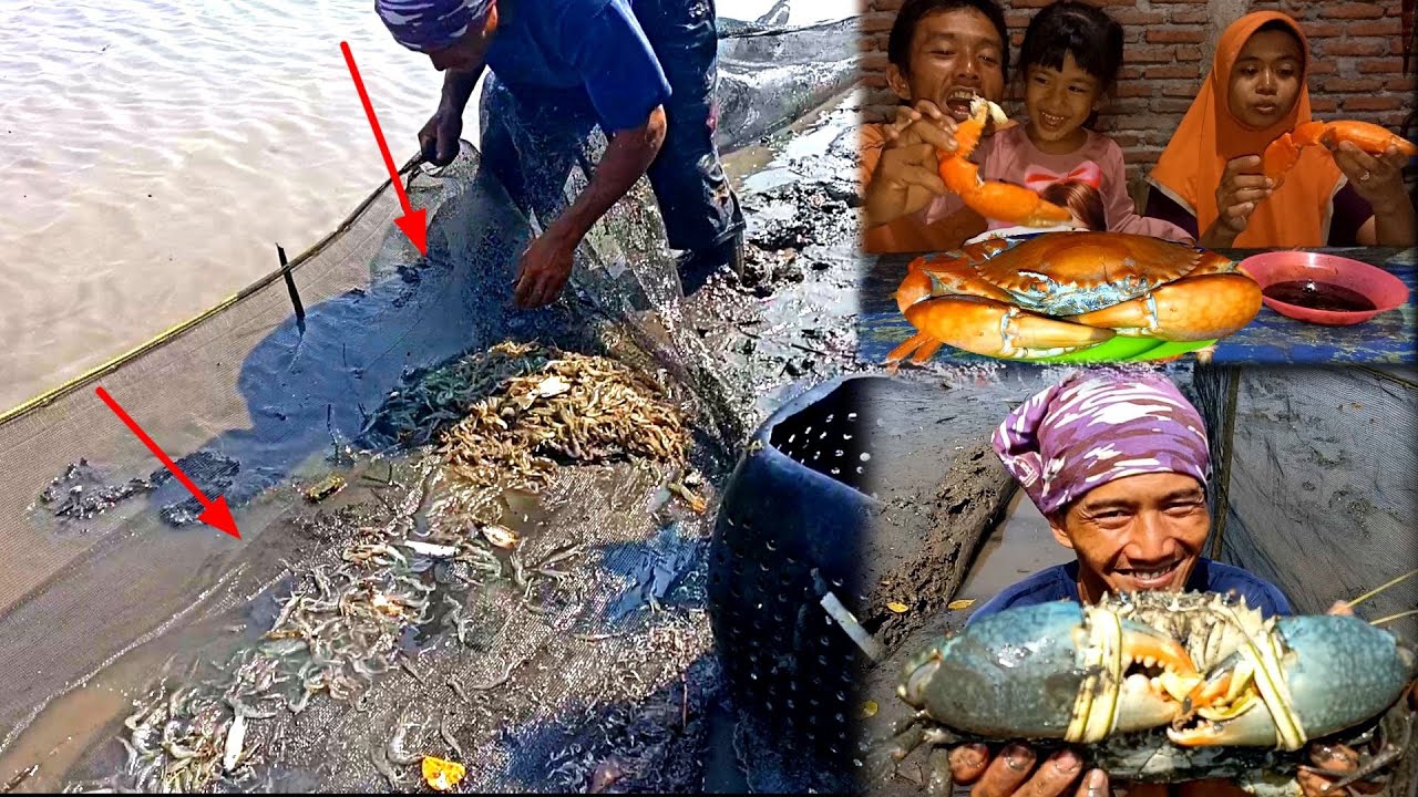 Rejeki Nomplok Dapat Banyak udang dan Kepiting Super Besar Langsung Masak Makan Bareng Keluarga