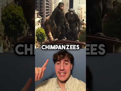 Did anyone notice in RISE OF THE PLANET OF THE APES…