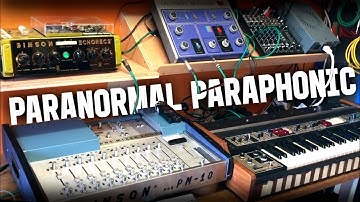 Roland RS-505 Paraphonic + Double Binson Echorec Stereo Demo