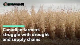 Canadian Farmers Struggle With Drought and Supply Chain Issues
