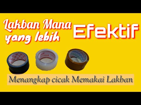 Cara menangkap cicak pakai Lakban 