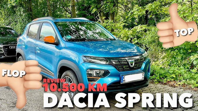 Must Have Produkte für den Dacia Spring: Ablagefach