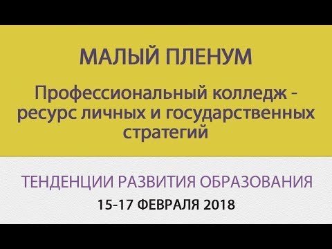 Малый пленум - Профессиональный колледж - ресурс личных и государственных стратегий