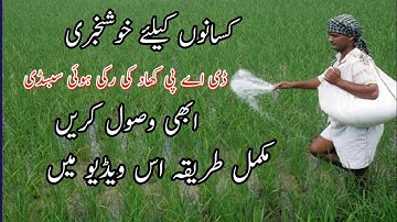 How to get Dealer device pending subsidy | DAP subsidy new update 2022 | Rice seeds subsidy Telco