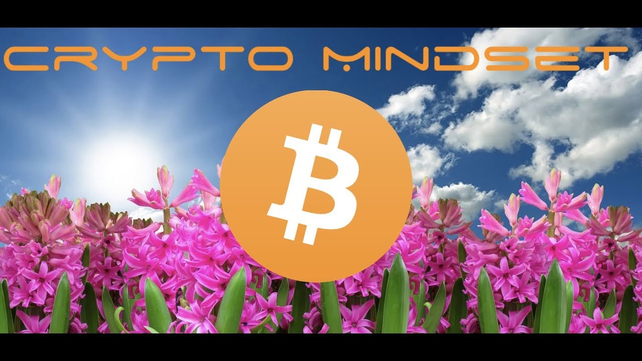 Cryptocurrency Investment Mindset Can Make Difference in Altcoin and