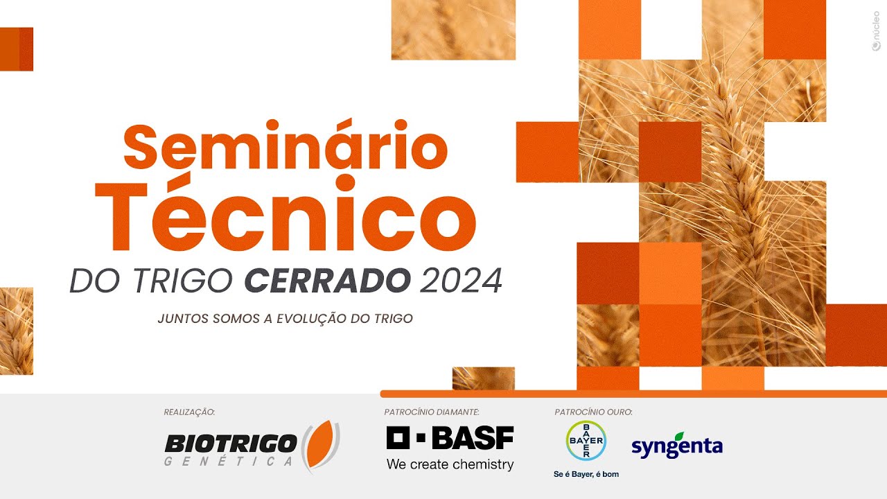 Seminário Técnico do Trigo 2024 | Uberlândia/MG