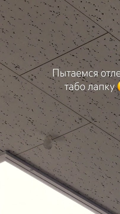 Хах - YouTube