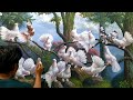 CARA MELUKIS - MENGGAMBAR BURUNG DAN POHON / HOW TO DRAW BIRD AND TREE BY DANDAN SA, Tutorial 55