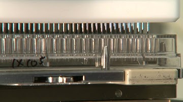 Science in Action: Kim Stegmaier