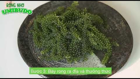 Hướng dẫn chế biến rong nho UMIBUDO