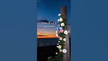 اكتب شئ تؤجر عليه..💗🍃             سورة المعارج..💗