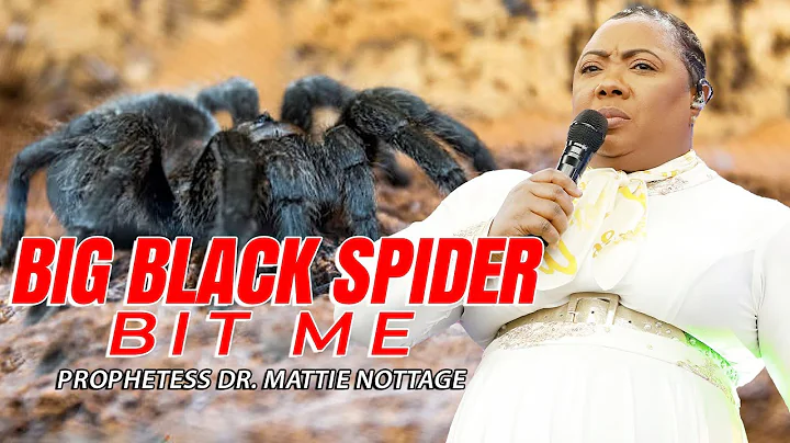 BIG BLACK SPIDER BIT ME |  DR. MATTIE NOTTAGE