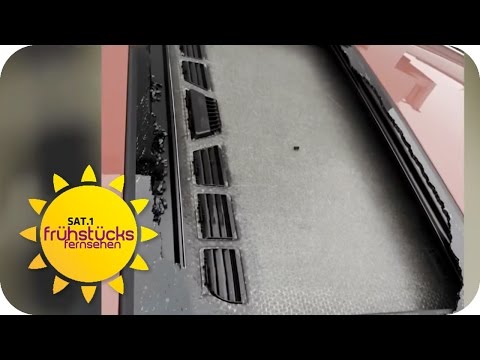 SCHOCK: Autodach EXPLODIERT! | SAT.1 Frühstücksfernsehen