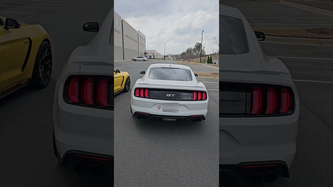 Mustang 5 0 Vs Shelby GT350