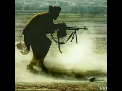 حالات واتس اب المجاهدين الابطال شعر 