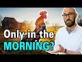 Why Do Roosters Crow in the Morning?