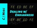 Dealing with Endianness Issues in your Programs