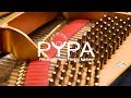 Capture de la vidéo Striving For Excellence: A Documentary On Pypa