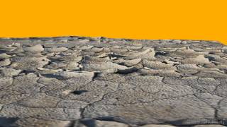 3D Mudcracks
