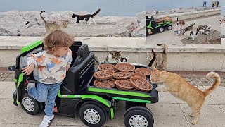 The tiny baby distributes the food he loaded on the trailer of his toy truck to the stray cats.