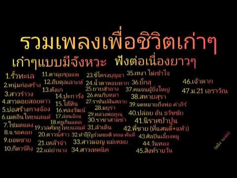 เพลงเพื่อชีวิตเก่าๆสนุกกันยาวๆไปเลย