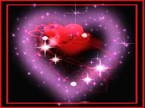 ابراهبم الكاشف باسم الحب اقدم ليك حياتى تغريد محمد