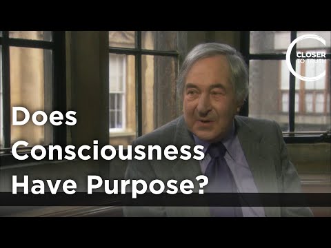 Bede Rundle - Does Consciousness Have Purpose?