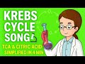 Krebs Cycle Song 🔬 | TCA &amp; Citric Acid Simplified in 4 Min (Exam Ready)