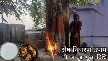 अमावस्या के दिन पीपल के वृक्ष की पूजा करने की सरल विधि !!people upay !! Somvati Amavasya