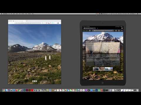 pano2vr vs pano2vr vs