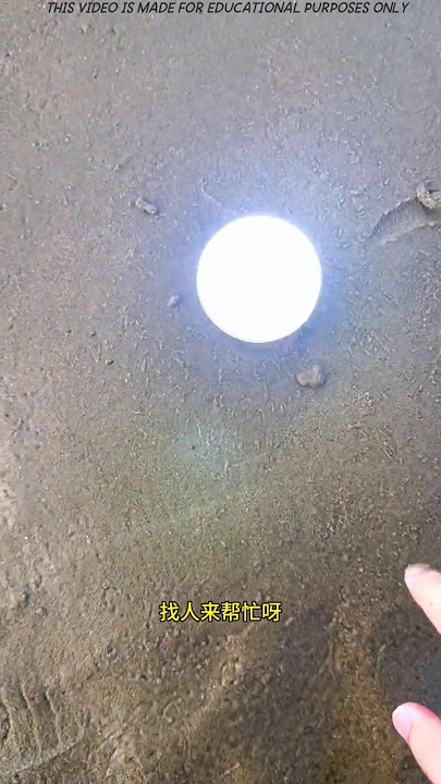 There are electric eels under the sand of this beach.
