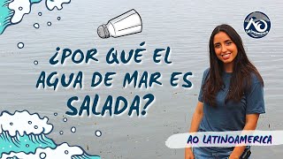 ¿POR QUÉ EL AGUA DE MAR ES SALADA?🧂 | AO Latinoamérica