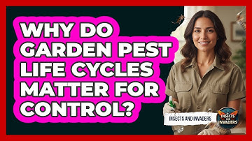 Why Do Garden Pest Life Cycles Matter For Control? - Insects and Invaders